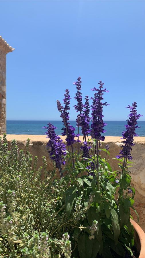 Selinitsa Residence Mani Agios Nikolaos  Eksteriør bilde